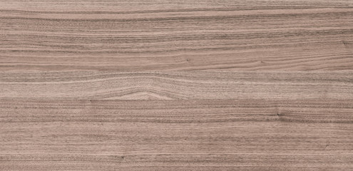 Fototapeta premium background of Walnut wood surface