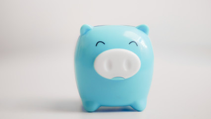 Blue pig in save money concept.