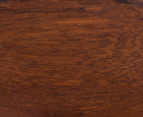 background and texture of Macro Ormosia wood