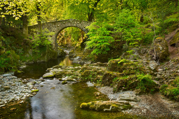 Stone bridge over a river in Northern Ireland