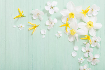 daffodils and cherry flowers on green wooden background