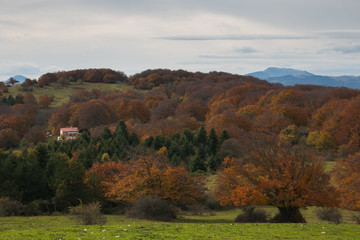 Typical mountain landscape in the marche region in the autumn season, Italy