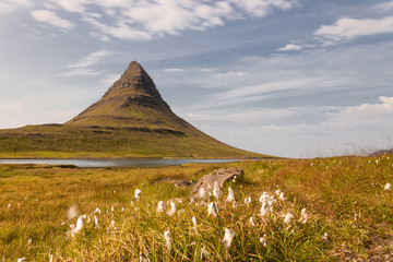 Pointed high mountain by the sea and lakes and meadows with cottongrass flower, Iceland Kirkjufell
