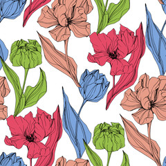 Vector Tulip engraved ink art. Floral botanical flower. Seamless background pattern. Fabric wallpaper print texture.
