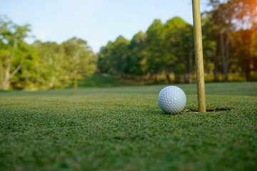golf ball on green in the evening golf course with sunshine.