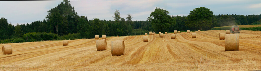 Strohballen, Stroh das Feld Weizen geerntet, Rundballen, Landwirtschaft, Panorama