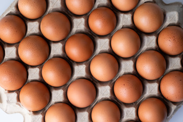 Close up of raw chicken eggs in egg box, organic food from natural on white background