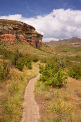 Path through the Golden Gate Highlands NP in South Africa