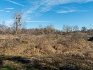 Dutch mountains and tulips