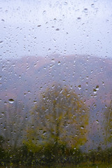 bad weather, glass with water drops and trees in autumn in the background
