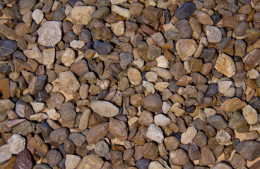 Pebbles of different shape, size, color and origin as a background