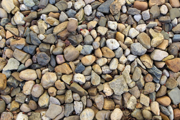 Pebbles of different shape, size, color and origin as a background