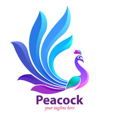 Vector illustration, modification of Peacock as a symbol