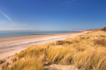 Fototapeta na wymiar Dunes on the coast of Dishoek in The Netherlands