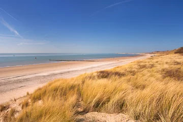 Fototapeten Dünen an der Küste von Dishoek in den Niederlanden © sara_winter