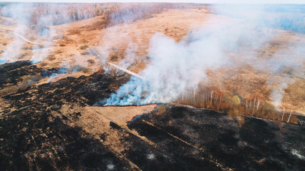 Forest and field fire. Dry grass burns, natural disaster. Aerial view. flying through the entire field.