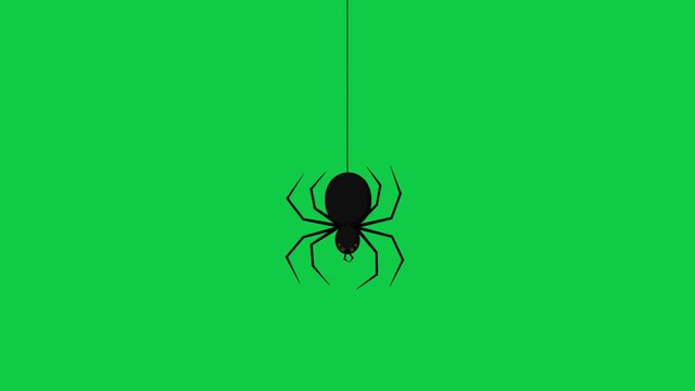 The spider goes down and goes up hanging on its own wire - Crhoma key