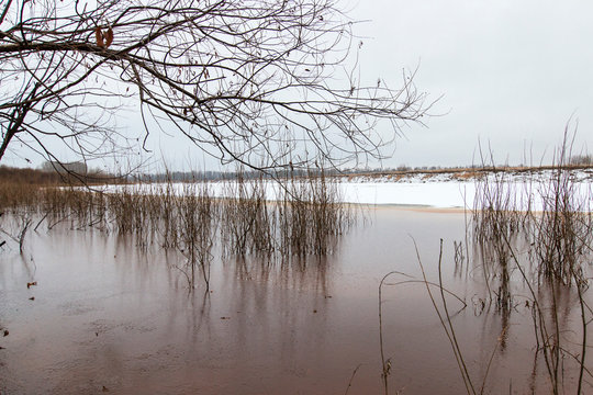 Landscape. Riverbank late autumn, cloudy day. The first ice on brown water. Bushes and trees are reflected. The sky is covered with dense gray clouds.