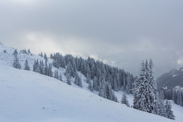 Verschneite Winterlandschaft - Parpaner Rothorn, Graubünden, Schweiz