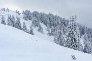 Fototapeta na wymiar Verschneite Winterlandschaft - Parpaner Rothorn, Graubünden, Schweiz