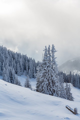 Verschneite Winterlandschaft - Parpaner Rothorn, Graubünden, Schweiz - 305973696