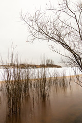 Obraz premium Landscape. Riverbank late autumn, cloudy day. The first ice on brown water. Bushes and trees are reflected. The sky is covered with dense gray clouds.