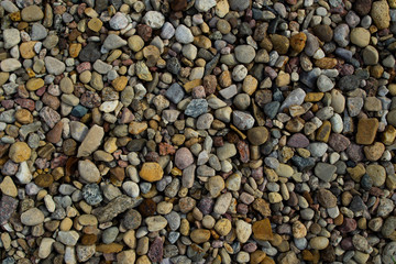 Colored pebbles. Colorful little stones. Natural background.