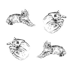 black and white linear drawing cats lying pattern