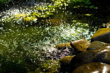 Stones close-up in the water. Splashes of water on a background of stones.