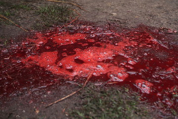 blood background, puddle of blood