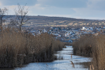 Fototapeta na wymiar wasserweg mit schilf am see