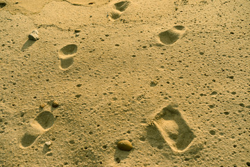 Photography of soft ocean sand and footprints. Suitable for touristic guides, greeting cards, postcards, banners.