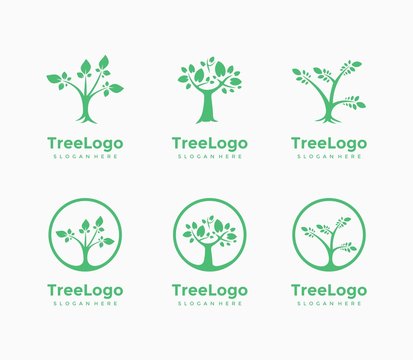 Set of tree logo with wood. Logo design tree illustration