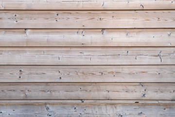 Naklejka premium Bois