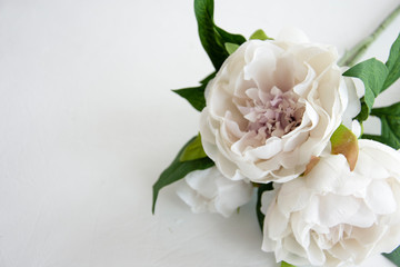 A bouquet of beautiful delicate peonies on a light pastel background, for all women.