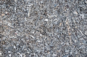 Sawdust, wood shavings or splinters. Natural background close-up.