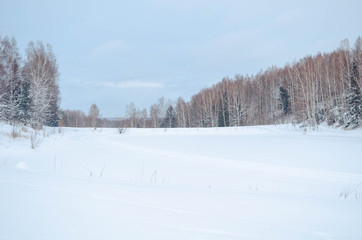 Snowy winter landscape with the forest and the sky, the sun. Winter forest trees in white snow. Frosty sunny day. New year Christmas in Siberia. Walk through the beautiful winter forest.