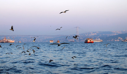 Fototapeta na wymiar Istanbul Bosphorus view