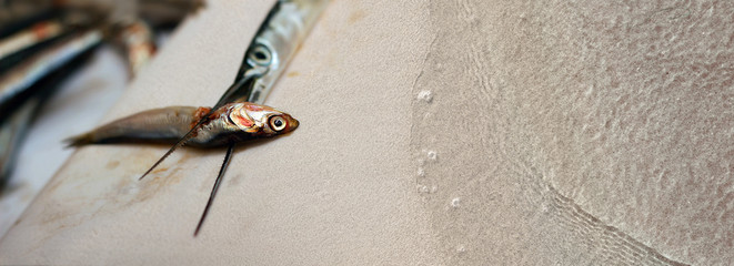 Protesting fish don't die in the soil But they are killed