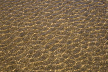 Fototapeta na wymiar the structure of water in shades of sunlight, the manifestation of texture in the form of abstraction