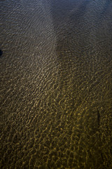 the structure of water in shades of sunlight, the manifestation of texture in the form of abstraction