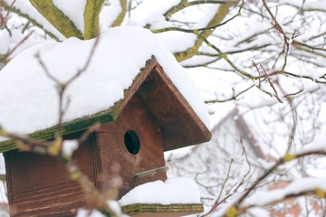 Birdhouse on a tree