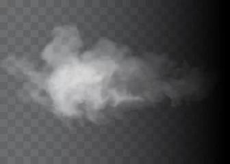 Poster Fog or smoke isolated transparent special effect. White vector cloudiness, mist or smog background. Vector illustration © kume111000