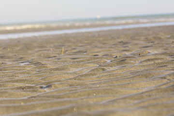Fototapeta na wymiar au ras du sable