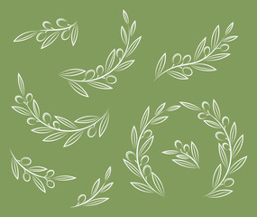 White vector olive branches with leaves and olives