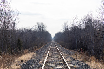 Fototapeta premium railway in the forest