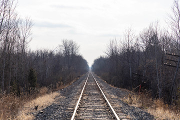 railway in the forest