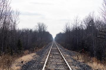 Fototapeta premium railway in the forest