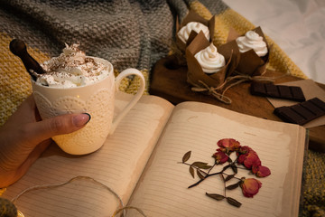 Hot Cocoa with cupcakes and chocolate