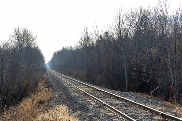 Obraz premium railroad tracks in the winter